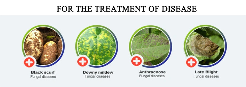 China manufacturer azoxystrobin+difenoconazole SC for disease