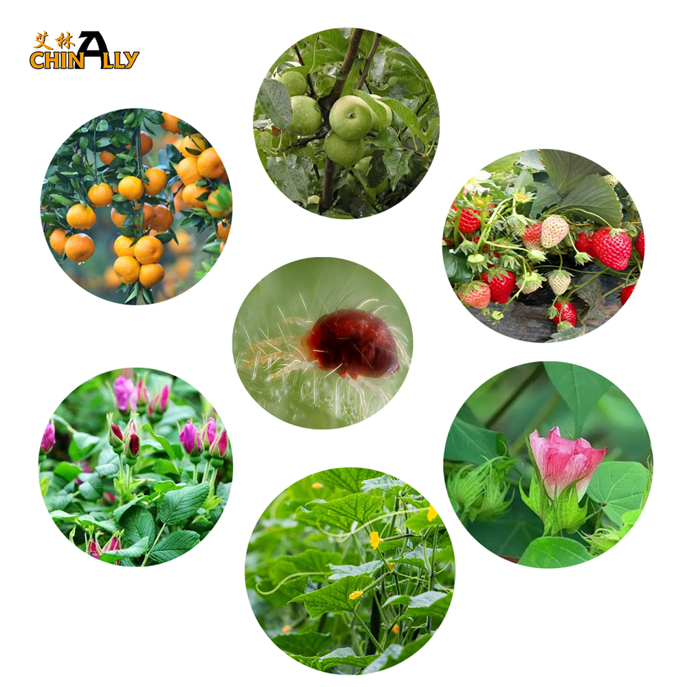 product (3)